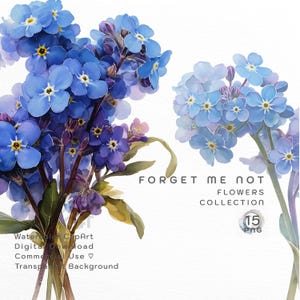 Images clipart de ne m'oublier pas |  Clipart aquarelle de ne pas m'oublier | Fleurs bleues PNG | Téléchargement numérique pour mariage et bricolage | Fond transparent