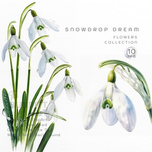 Snowdrop ClipArt | Watercolor Floral Clipart JPG | Floral Illustration | White Spring Floral | Greeting Card & Paper Craft | Commercial Use