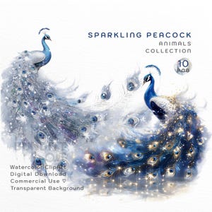 10 Sparkling Peacock Clipart | Peacock Clip Art | Digital Download | PNG | Transparent Background | Watercolor ClipArt | Commercial Use