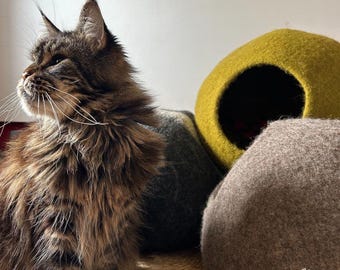 Cat-Hutte with his mouse - New Heidi