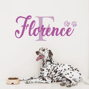 May include: A Dalmatian dog sits in front of a white wall with a purple wall decal that says "Florence" with a large "F" and two paw prints.