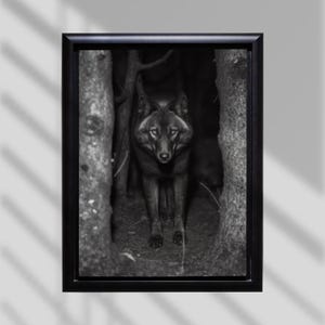 Dark Wolf in Forest - Black and White Digital Art Download for Wall Decor