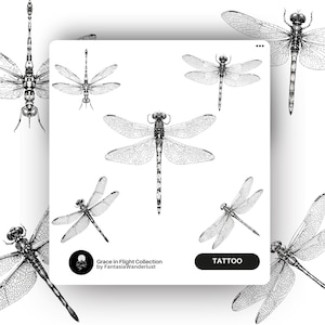 Dragonfly Tattoo Stencils - 5 Hand-Drawn Intricate Designs | Nature-Inspired Digital Art for Instant Download