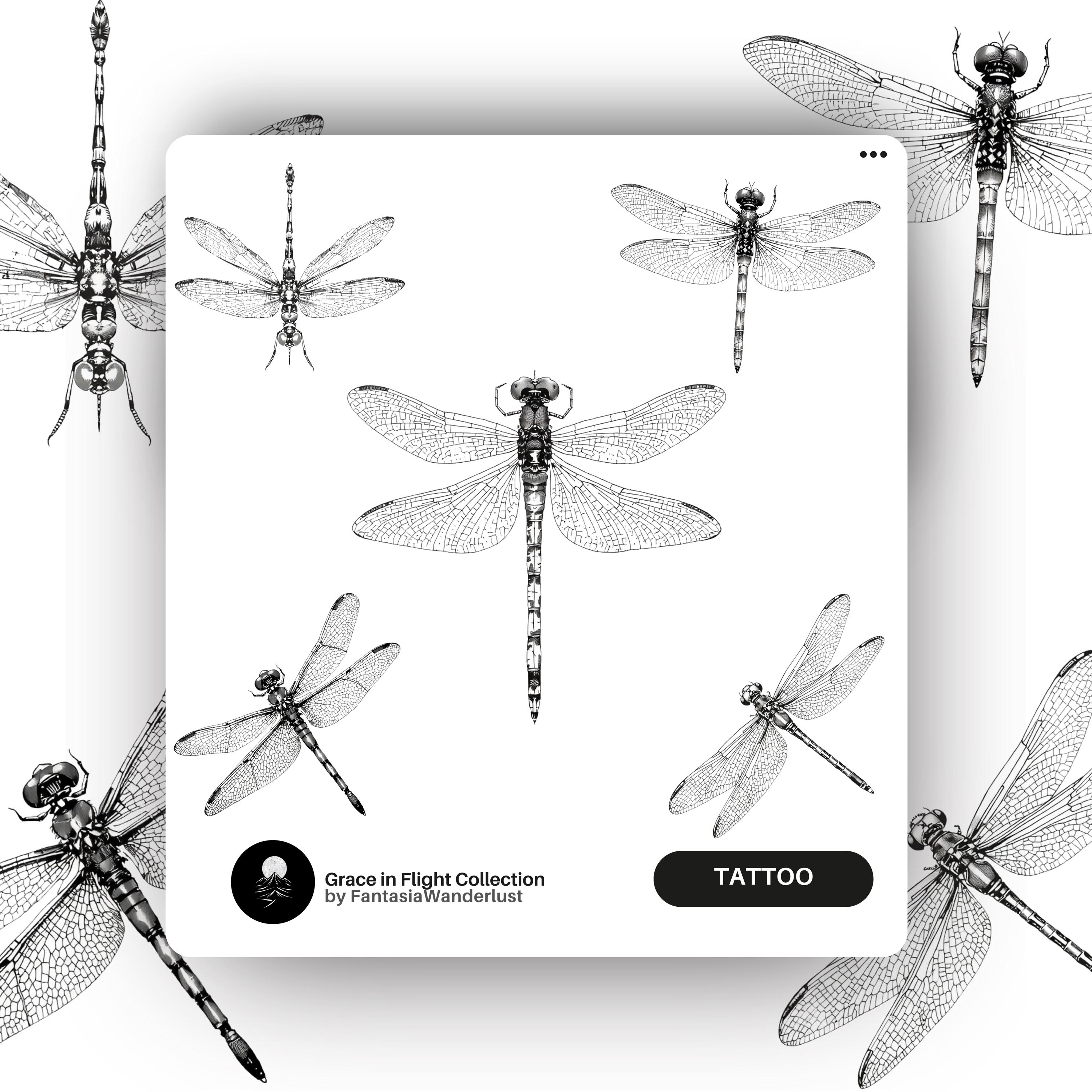 Dragonfly Tattoo Stencils - 5 Hand-drawn Intricate Designs | Nature ...