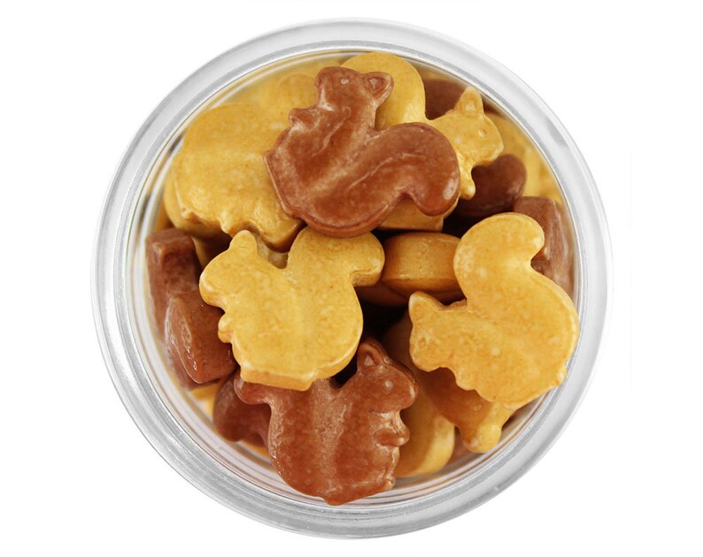 Brown Squirrel Candy Sprinkles Cute Little Squirrel Candy Etsy