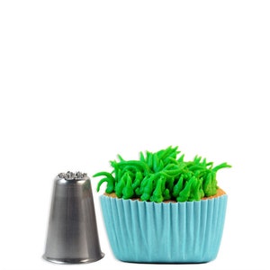 May include: A silver metal piping tip with a star-shaped opening. The tip is used to create grass-like frosting on a cupcake. The cupcake is frosted with green frosting and is in a light blue cupcake liner.