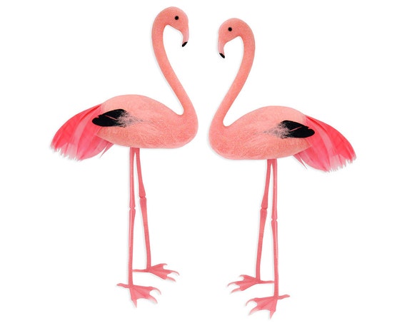 Plumes Rose Flamant Rose De Gateau Un Doux Rose Pastel Vif Etsy Plumes Rose Flamant Rose De Gateau Un Doux Rose Pastel Vif Etsy