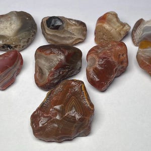 Lake Superior Agate Bundle (8.2oz)
