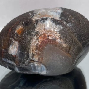Lake Superior Agate (6.5 oz)