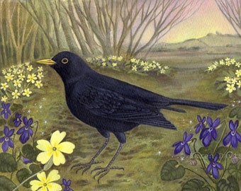 Art Print x1 Mr Blackbird. By Karen Davis