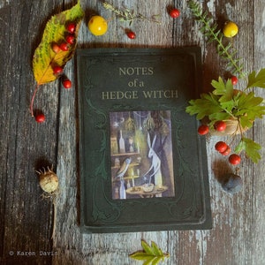 May include: A dark green book titled "Notes of a Hedge Witch" with an illustration of a rabbit and owl. The book is surrounded by autumn leaves, berries, and small yellow fruits on a rustic wooden surface.