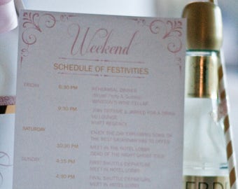 Wedding Itinerary | Weekend Events Schedule | Destination Wedding Welcome | Formal Elegant Pink Blush Gold Wedding Itineraries Retainer