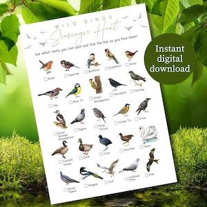 Búsqueda del tesoro de aves silvestres, actividades de caminata al aire libre imprimibles para niños, juegos de actividades de campamento para niños, hoja de juego del tesoro de la naturaleza para preescolar