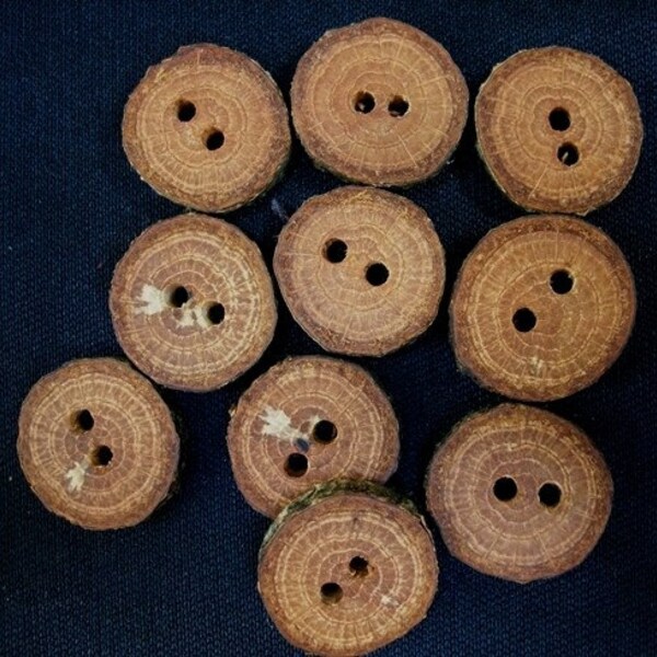 Lot of 10 Oak Handcrafted and Handmade Tree Branch Wood Wooden Buttons...5\/8 inches....2 holes...158