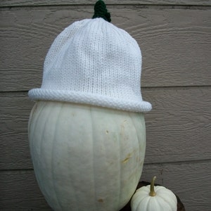 Hat Ghost Pumpkin Adult size Photo Prop halloween punkin hat pumkin hat white image 3