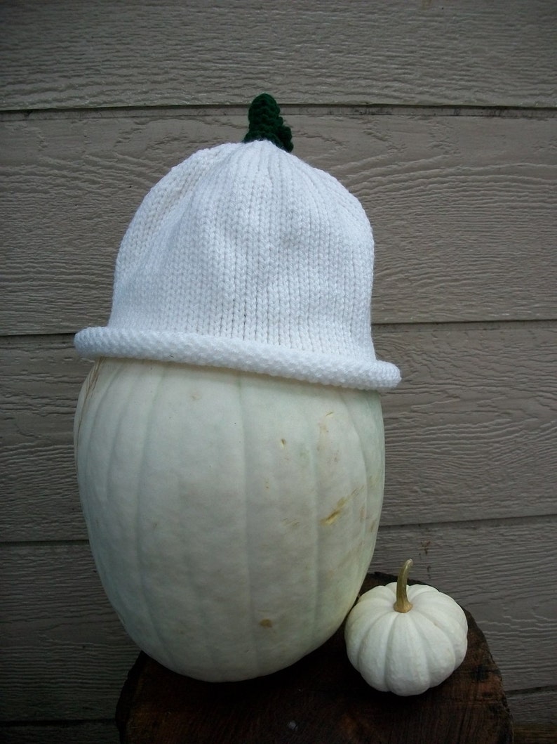 Hat Ghost Pumpkin Adult size Photo Prop halloween punkin hat pumkin hat white image 3