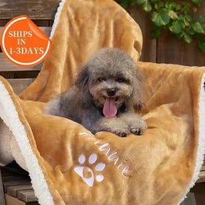 Op de afbeelding: Een zachte, goudbruine pluche deken met een witte sherpa-stijl rand, voorzien van een geborduurd wit pootafdrukontwerp. Een kleine, pluizige grijze hond met de tong uit de bek rust in het midden van de gevouwen stof.