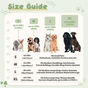 Personalisierte Decke für Hunde, Hundedecke, Plüschhundedecke, gestickte Decke Hundenamendecke, Geschenk für Hundeliebhaber, Welpennamendecke Bild 4