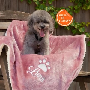 May include: A pink and white plush dog bed with a white paw print and the name "Luna" embroidered on it. A small gray dog is sitting on the bed.