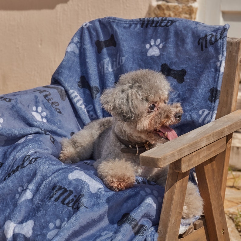 Puede incluir: Un peque&ntilde;o perro gris con un collar negro se sienta en una manta de franela azul con la palabra "Milo" impresa en ella. La manta est&aacute; en una silla de madera.