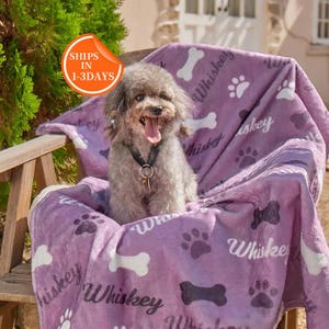 May include: A small gray dog sits on a purple fleece blanket with a white bone and paw print pattern. The blanket has the word "Whiskey" printed on it multiple times.