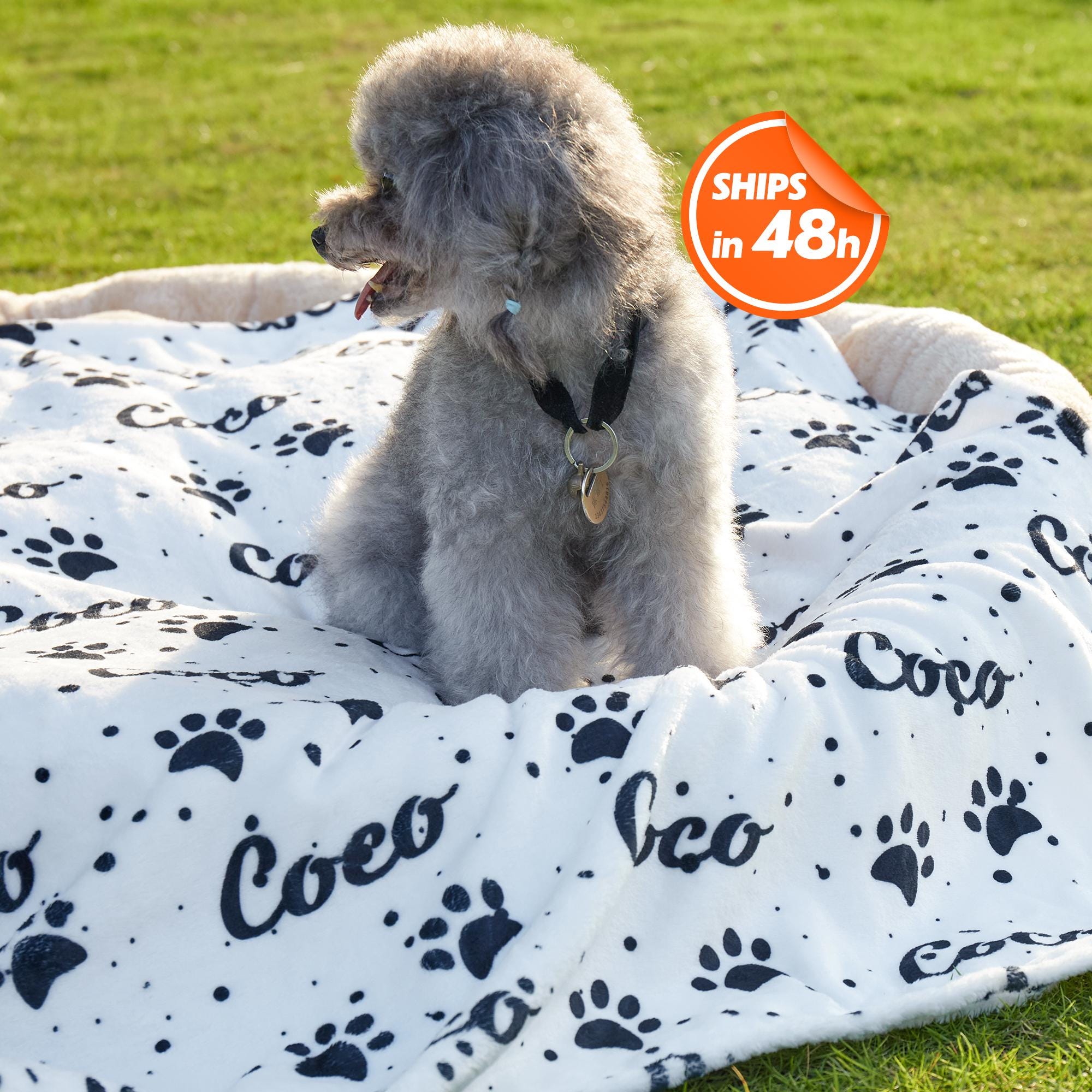 Girl and dog blanket new arrivals