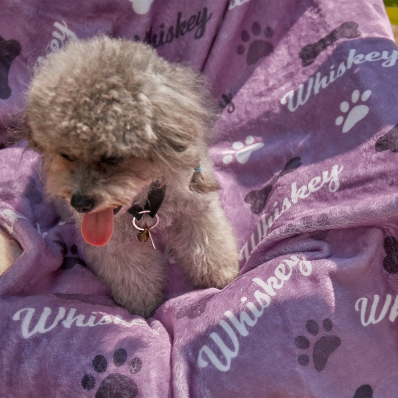 Puede incluir: Un perro peque&ntilde;o, gris y esponjoso con la lengua rosa fuera, sentado en una manta morada con la palabra "Whiskey" impresa varias veces. La manta tiene huellas de patas y dise&ntilde;os de huesos.