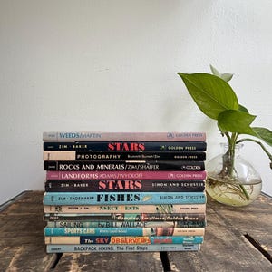 Puede incluir: Una pila vertical de doce libros de tapa dura antiguos con lomos de varios colores, incluyendo títulos como Stars, Fishes y Rocks and Minerals, con texto de Golden Press y Simon and Schuster, dispuestos ordenadamente sobre una superficie de madera.