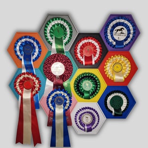 3D Printed Wall-Mounted Rosette Display
