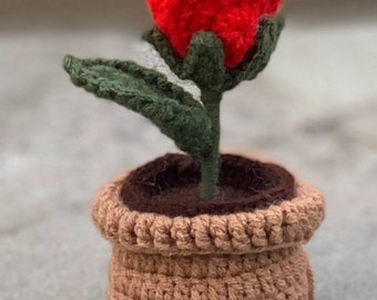 Personalized Flower, Custom Gift, Crochet Flower Bouquet, Mini Rose In Pot, Mother’s Day