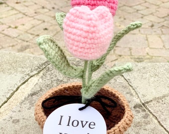 Tulip Flower in Pot, Personalized Custom Crochet Flower Bouquet