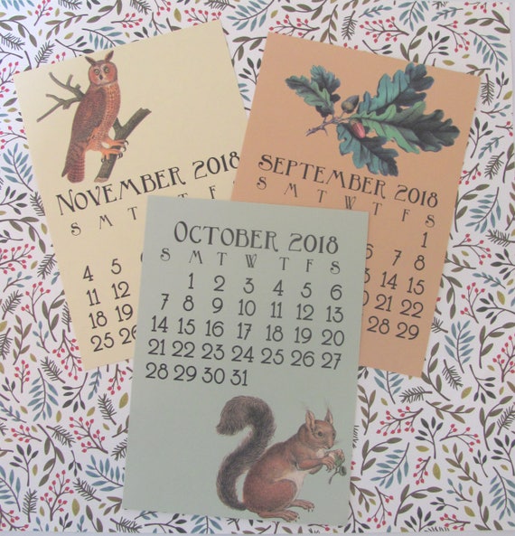 Printable Vintage Woodland 2019 5x7 Calendar Mini Digital