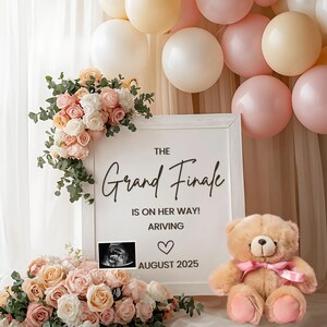 It’s a Girl Pregnancy Announcement Digital Girl Gender Reveal Editable Template Baby Announcement Social Media Reveal Baby Girl Announcement