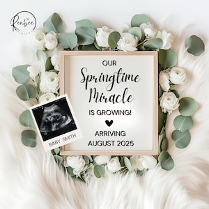 Anuncio de embarazo digital para redes sociales Tablero de letras editable Anuncio de embarazo Anuncio de primavera Descarga instantánea Primavera