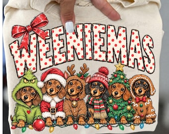 Christmas Dachshund Dog Png, Weenie Dog Png, Merry Christmas png, Christmas Santa png, Christmas Dog Lover png, Merry And Bright png,Dog png