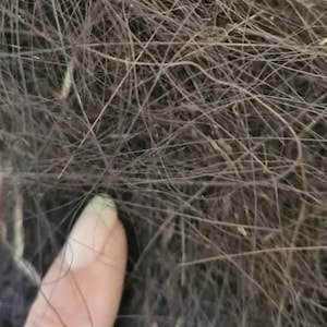 May include: Close-up of a dense, tangled mass of dark brown fibers. The fibers are thin and appear to be intertwined, creating a textured surface. A finger is visible in the lower left corner, touching the fibers.