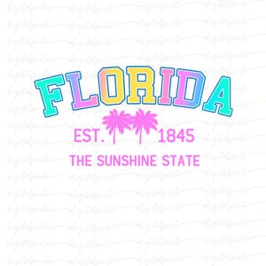 Florida PNG – Bright Pastel Retro Design with Palm Trees and “The Sunshine State” Text, Sublimation Graphic for Summer Apparel & Decor