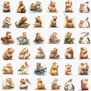 Más de 50 lindos archivos PNG de la raza Carpincho. Acuarela. No te preocupes, sé Carpincho. Floral. Carpincho. Espíritu animal. Archivo PNG. Ilustración digital.