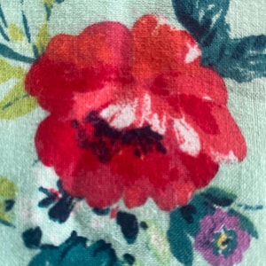 May include: A close-up of a floral fabric with a large red flower and green leaves on a light blue background.