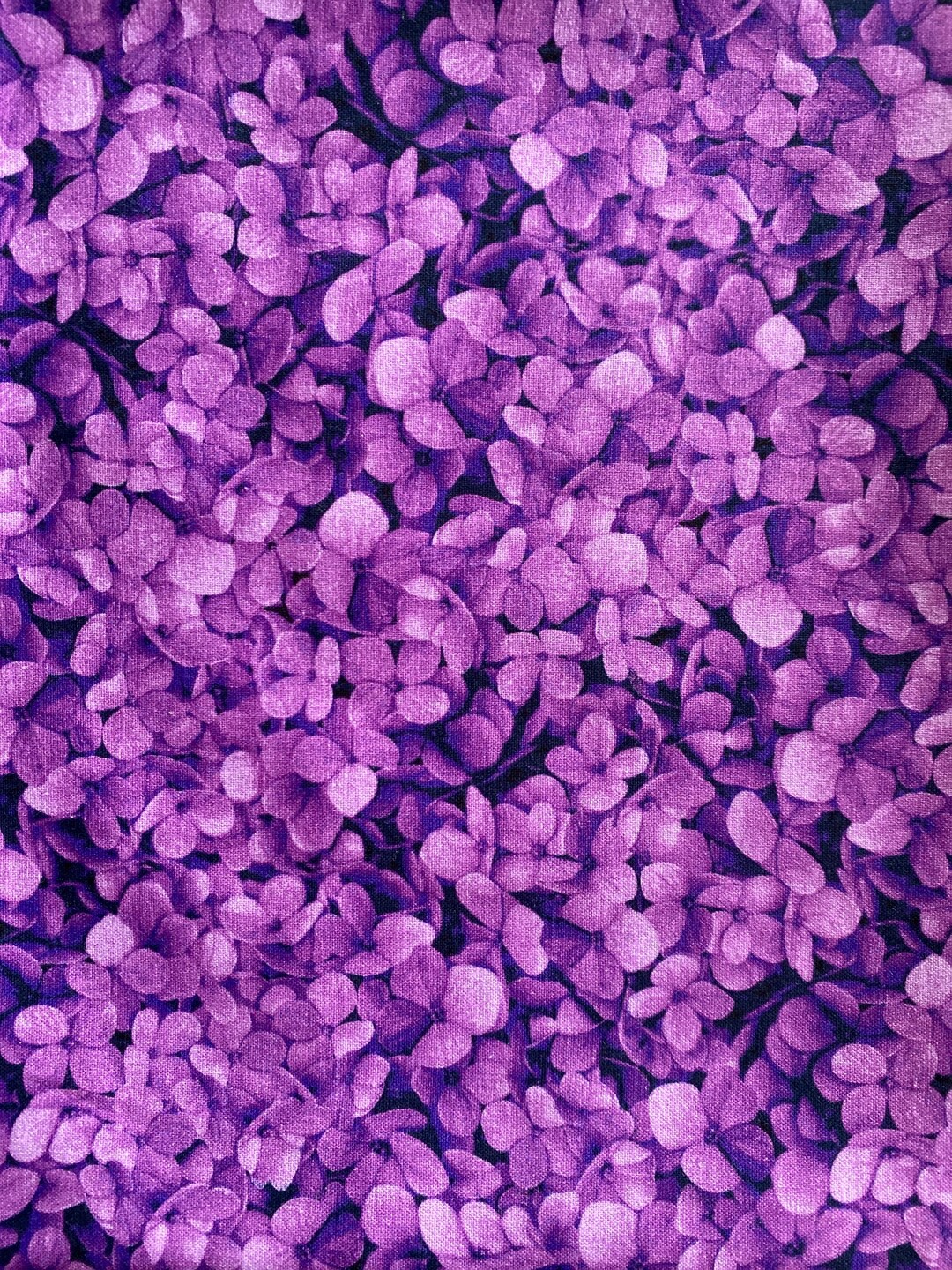 Midnight Bloom by Chong A Hwang for Timeless Treasures Quilt Cotton - Etsy