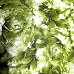 Peut inclure: Gros plan sur un tissu à motif floral vert et blanc. Le tissu a une surface texturée et les fleurs sont abstraites et stylisées.