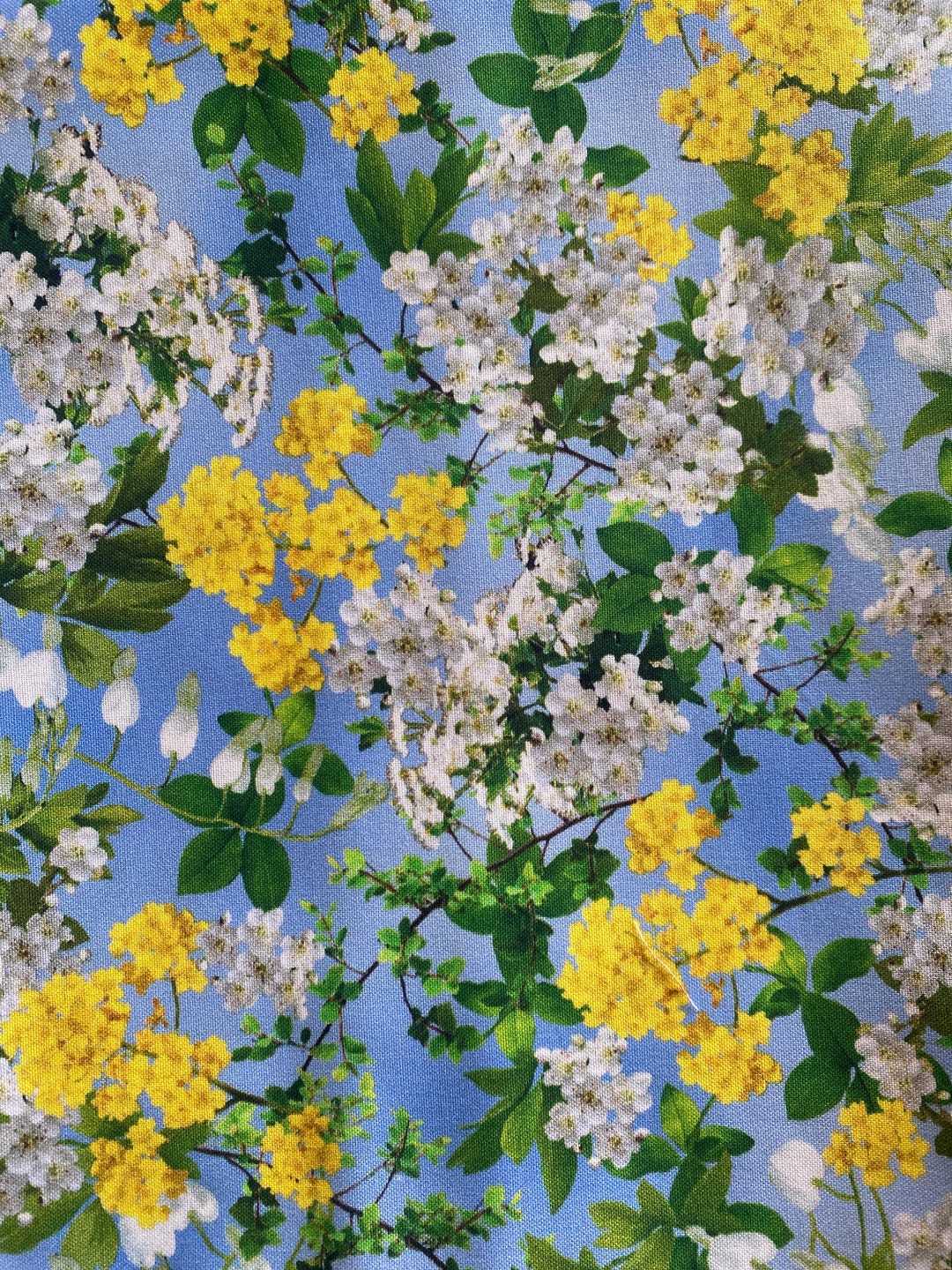 Flower Splendor Michael Miller Quilt Cotton Fabric- Bthy - Etsy