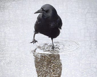 Wade In Crow Fine Art Photograph – Signed Antique Texture Portrait