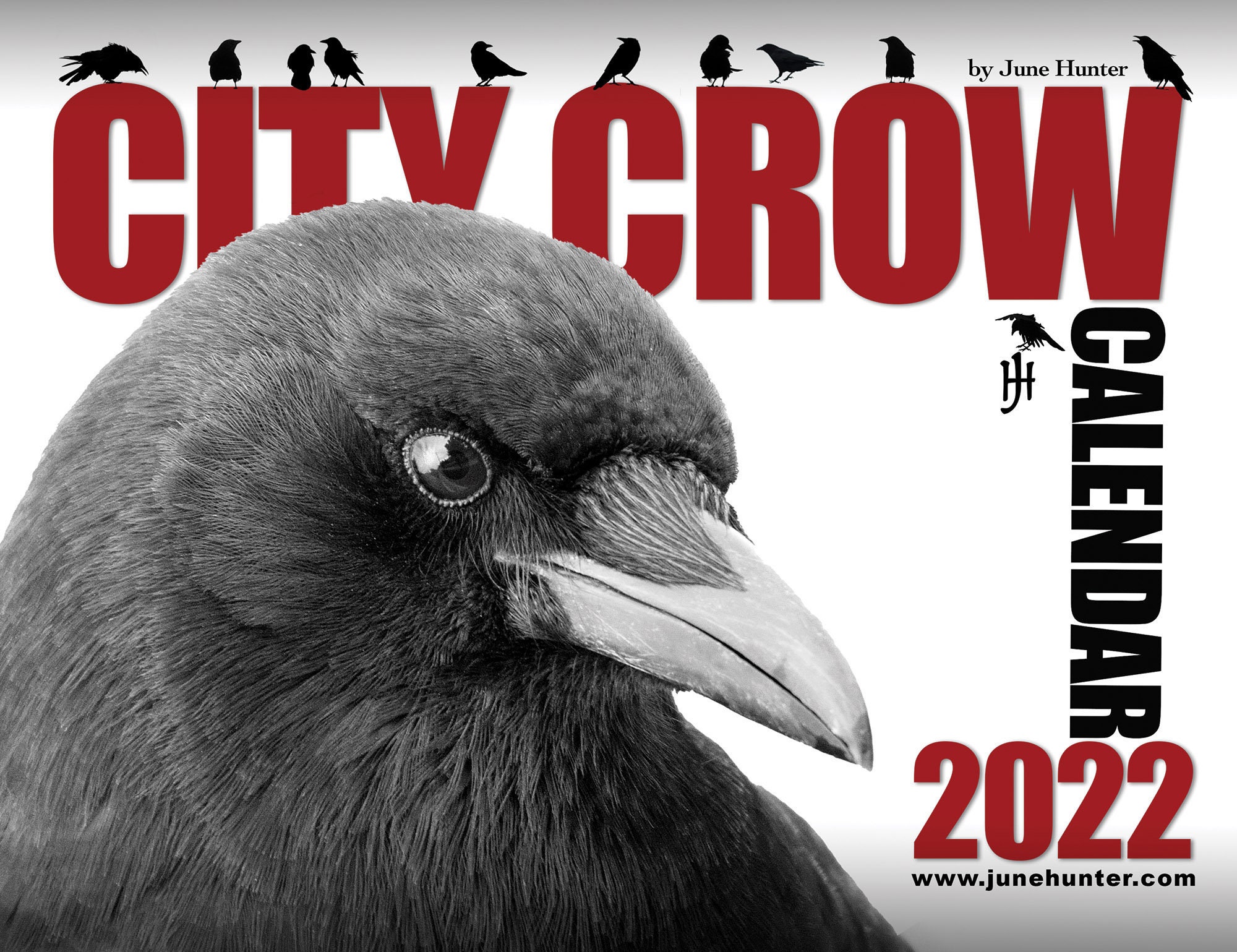 City CROW CALENDAR 2022 by June Hunter 13 months of crow Etsy