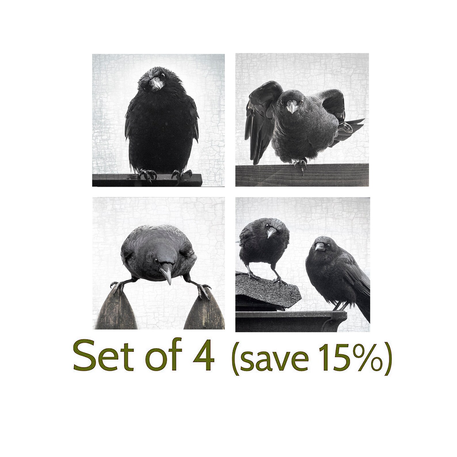 Understanding The Lyra Crow Video Controversy - sga1kow