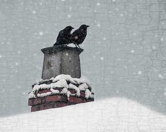 Winter Crows Fine Art Photograph – Signed Black and White Portrait
