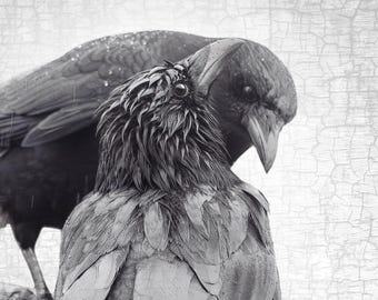 Togetherness Crows Fine Art Photograph, Antique Silvery Grey Texture