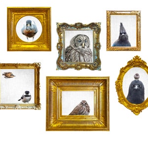 The Crow and Bushtit of Judgment — Signed Fine Art Photo Collage by