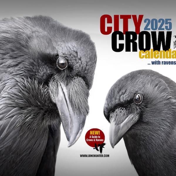 Raven Crow Wall Calendar Etsy