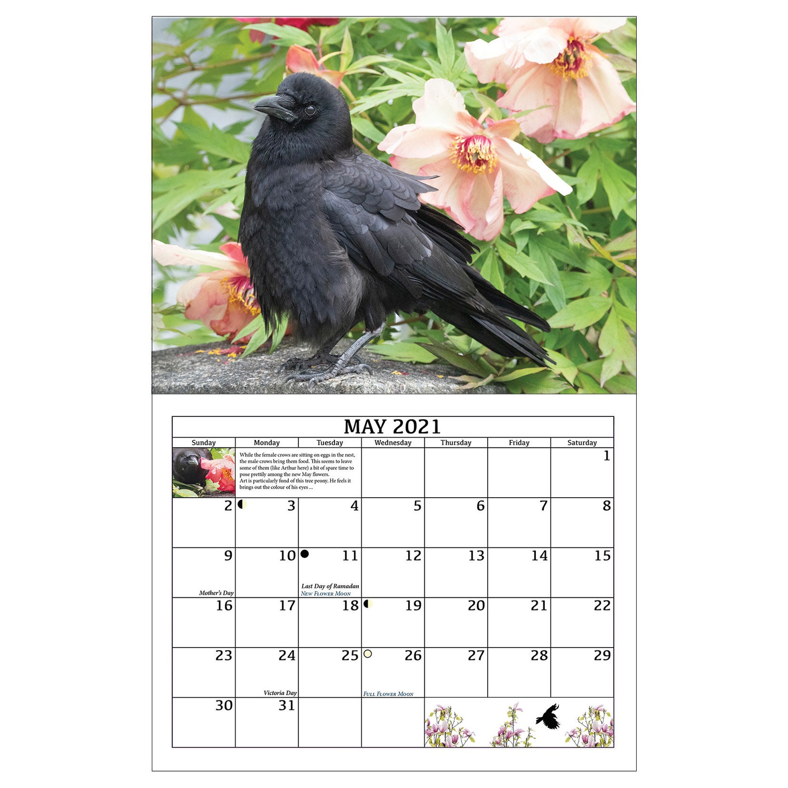 Crow Calendar 2021 City Crows Wall Calendar With Crow Etsy